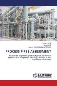 Process Pipes Assessment