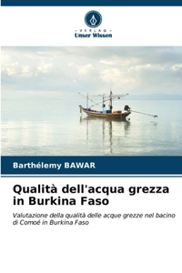 Qualità dell'acqua grezza in Burkina Faso