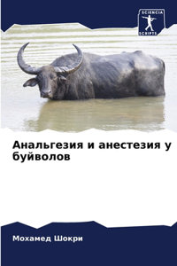 Анальгезия и анестезия у буйволов