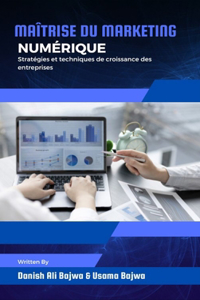 Maîtrise du marketing numérique