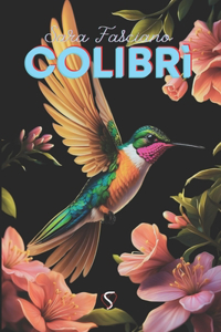 Colibrì
