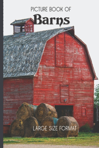 Picture Book Of Barns Large Size Format