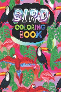 Bird coloring book