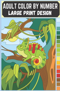 Adult Color By Number - Large Print Design