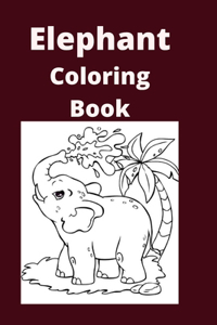 Elephant Coloring Book