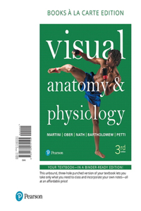 Visual Anatomy & Physiology