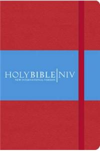 NIV Pocket Red Notebook Bible