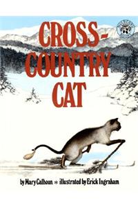 Cross-Country Cat