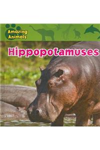 Hippopotamuses