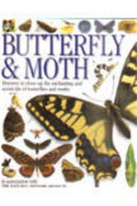 Eyewitness Guides : Butterfly And Moth