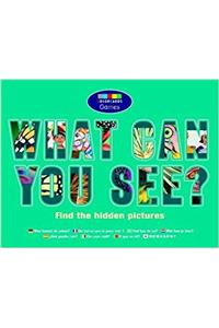 What Can You See?: Colorcards