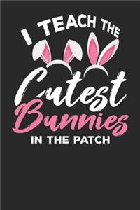 I Teach the Cutest Bunnies in the Patch