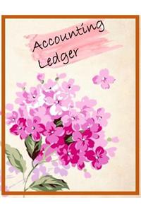 Accounting Ledger