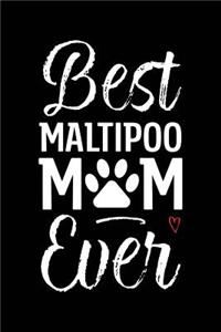 Best Maltipoo Mom Ever