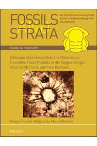 Ediacaran Microfossils from the Doushantuo Formation Chert Nodules in the Yangtze Gorges Area, South China, and New Biozones