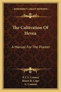 Cultivation of Hevea