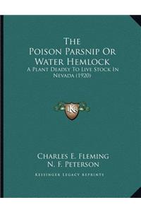 Poison Parsnip Or Water Hemlock