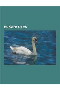 Eukaryotes