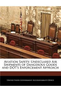 Aviation Safety