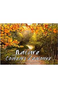 Nature Couleurs D'automne 2017