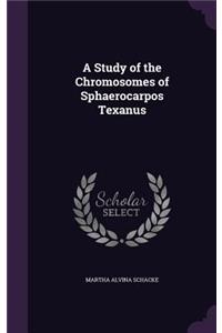 A Study of the Chromosomes of Sphaerocarpos Texanus