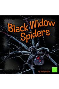 Black Widow Spiders
