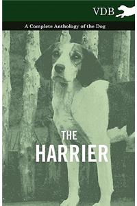 The Harrier - A Complete Anthology of the Dog