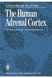 Human Adrenal Cortex