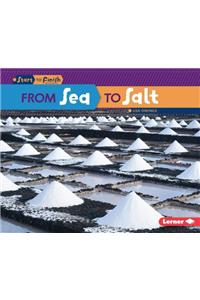 From Sea to Salt