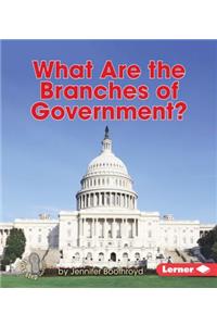 What Are the Branches of Government?