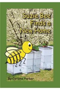 Suzie Bee Finds a New Home