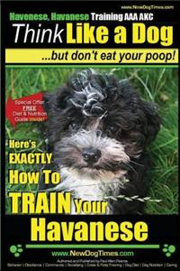 Havanese, Havanese Training AAA AKC - Think Like a Dog, But Don't Eat Your Poop!