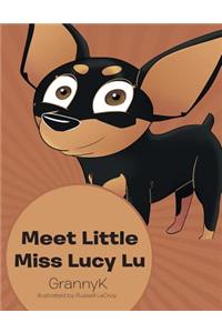 Meet Little Miss Lucy Lu