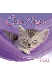 2020 Cat Naps Mini Calendar