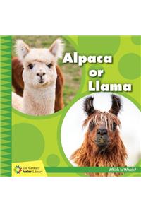 Alpaca or Llama