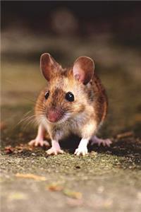 Say Hello to the Little Mouse Journal