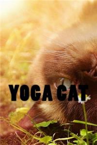 Yoga Cat