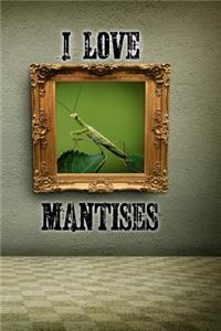 I Love Mantises
