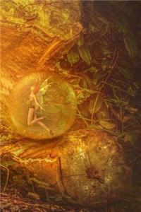 Fairy