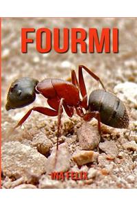 Fourmi