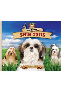 Shaggy Shih Tzus