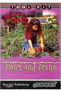 Plant and Prune