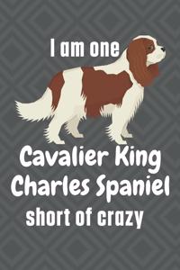 I am one Cavalier King Charles Spaniel short of crazy