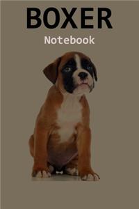 Boxer Notebook