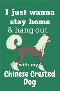 I just wanna stay home & hang out with my Chinese Crested Dog