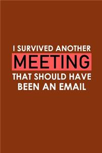 I Survived Another Meeting That Should Have Been An Email