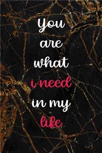 You Are What I Need In My Life