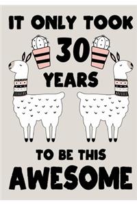 It only Took 30 Years To Be This Awesome