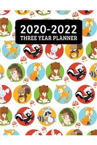 2020-2022 Three Year Planner