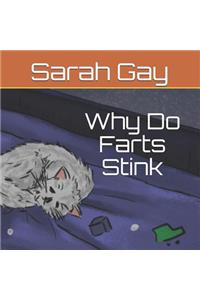 Why Do Farts Stink
